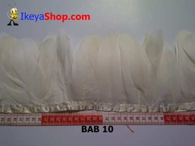 Bulu angsa BAB 10   feather  large2